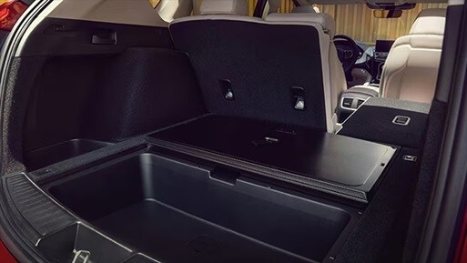 RDX rear cargo view with Parchment interior