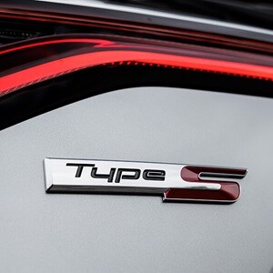 Acura Type S Badge