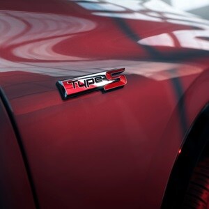 Acura Type S Badge