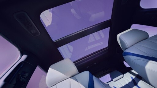 2026 Acura ADX A-Spec with Advance Package shown in Orchid interior, featuring a detail of the panoramic moonroof.