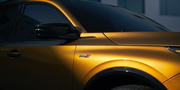 Exterior passenger Side door Tiger Eye Pearl